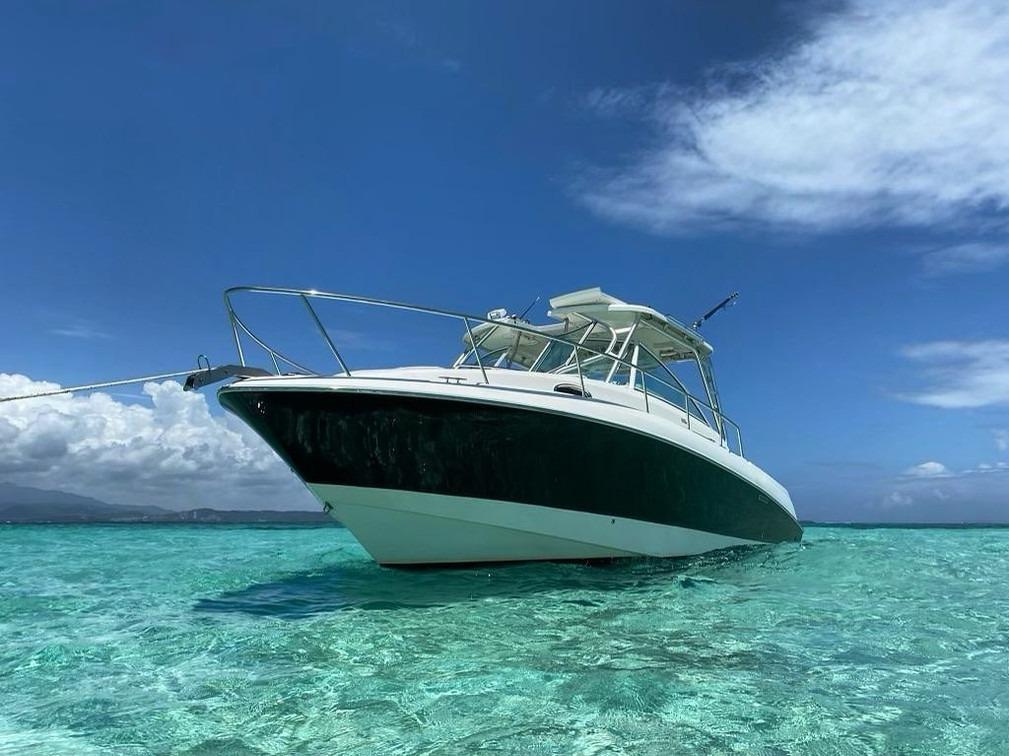 Sale of boats - Wally Castro Marine