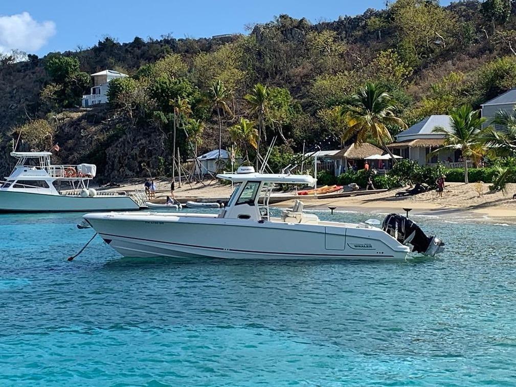 Sale of boats - Wally Castro Marine